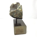 Scenic Blue Mountain Jasper End Cut on Custom Stand - Ammonite Shape
