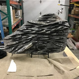 Orthoceras Fossil Plaque on Rebar Stand ( Not Included)