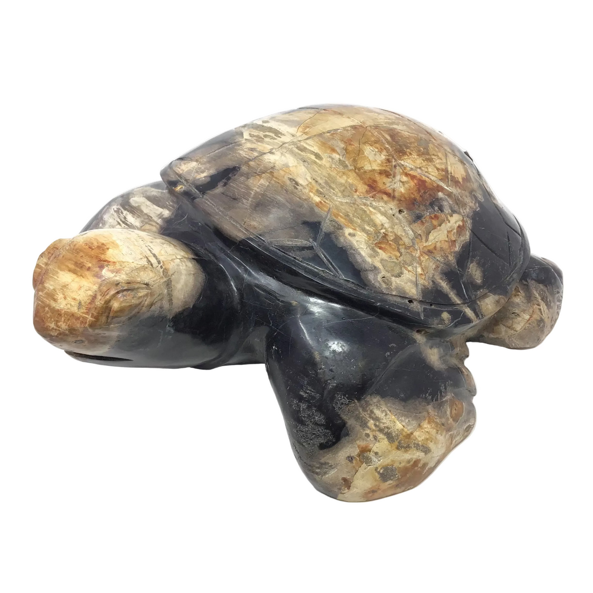 Indonesian Petrified Wood Sea Turtle Carving - Large