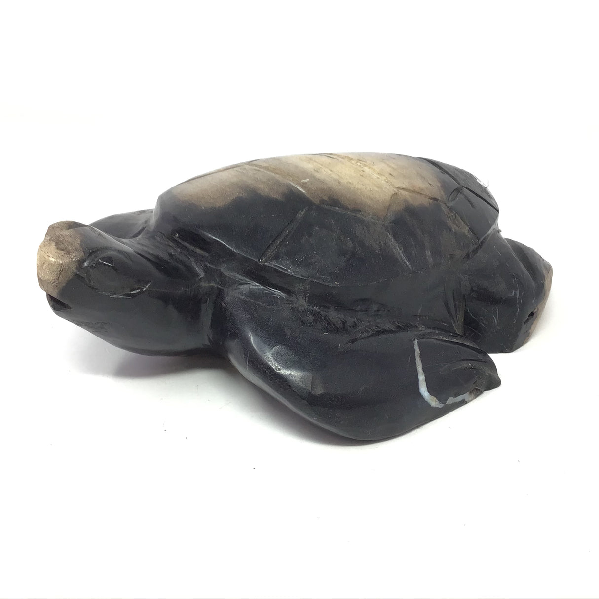 Indonesian Petrified Wood Sea Turtle Carving