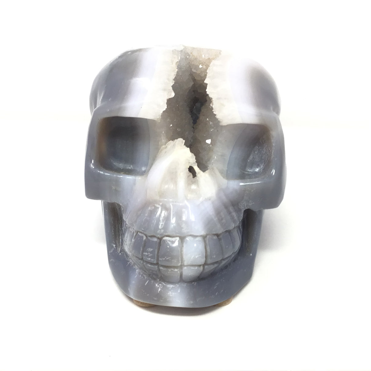 Splitting Headache Druze Agate Geode Skull Carving - Periwinkle Blue Agate