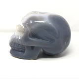 Splitting Headache Druze Agate Geode Skull Carving - Periwinkle Blue Agate