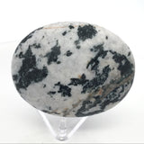 Tourmaline in Quartz Palm Stone