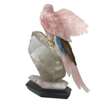 Hand-Carved Rose Quartz Macaw Perched on Clear Quartz Crystal & Rose Quartz + Black Marble Base - Tail Feathers of Tiger's Eye & Blue Calcite