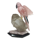 Hand-Carved Rose Quartz Macaw Perched on Clear Quartz Crystal & Rose Quartz + Black Marble Base - Tail Feathers of Tiger's Eye & Blue Calcite