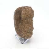 Citrine Druze Stalactite Specimen with Brown Matrix on Lucite Stand