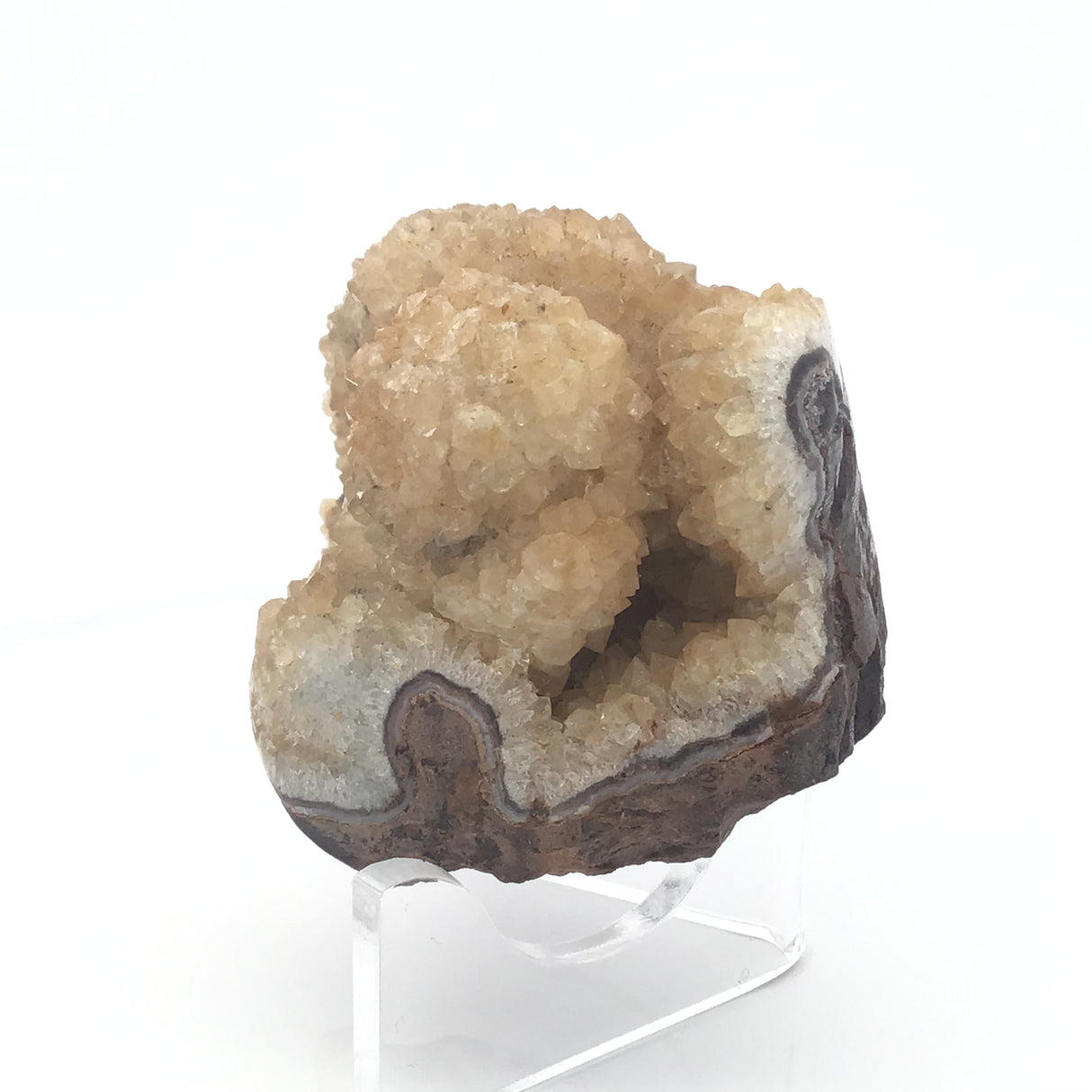 Citrine Druze Stalactite Specimen with Brown Matrix on Lucite Stand