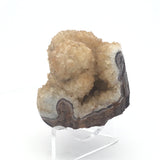 Citrine Druze Stalactite Specimen with Brown Matrix on Lucite Stand