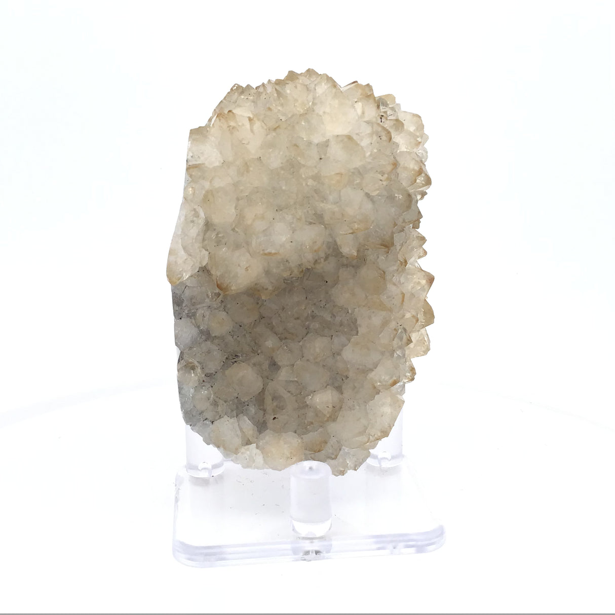 Citrine Crystal Stalactite Ridge with Carmel Tips on Lucite Stand