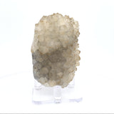 Citrine Crystal Stalactite Ridge with Carmel Tips on Lucite Stand