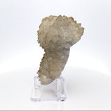 Citrine Crystal Stalactite Ridge with Carmel Tips on Lucite Stand