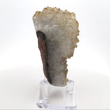 Citrine Crystal Stalactite Ridge with Carmel Tips on Lucite Stand