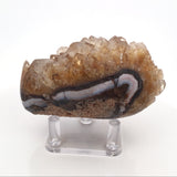 Citrine Crystal Cluster Bulb on Lucite Stand