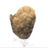 Citrine Druze Stalactite Knob Section with 2 Polished Sides on Lucite Stand