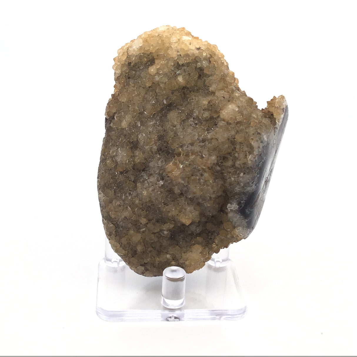 Citrine Druze Stalactite Knob Section with 2 Polished Sides on Lucite Stand