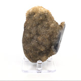Citrine Druze Stalactite Knob Section with 2 Polished Sides on Lucite Stand