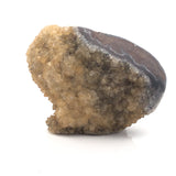 Citrine Druze Stalactite Knob Section with 2 Polished Sides on Lucite Stand