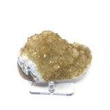 Citrine Druze Specimen with Exquisite Band Along Edge on Lucite Stand