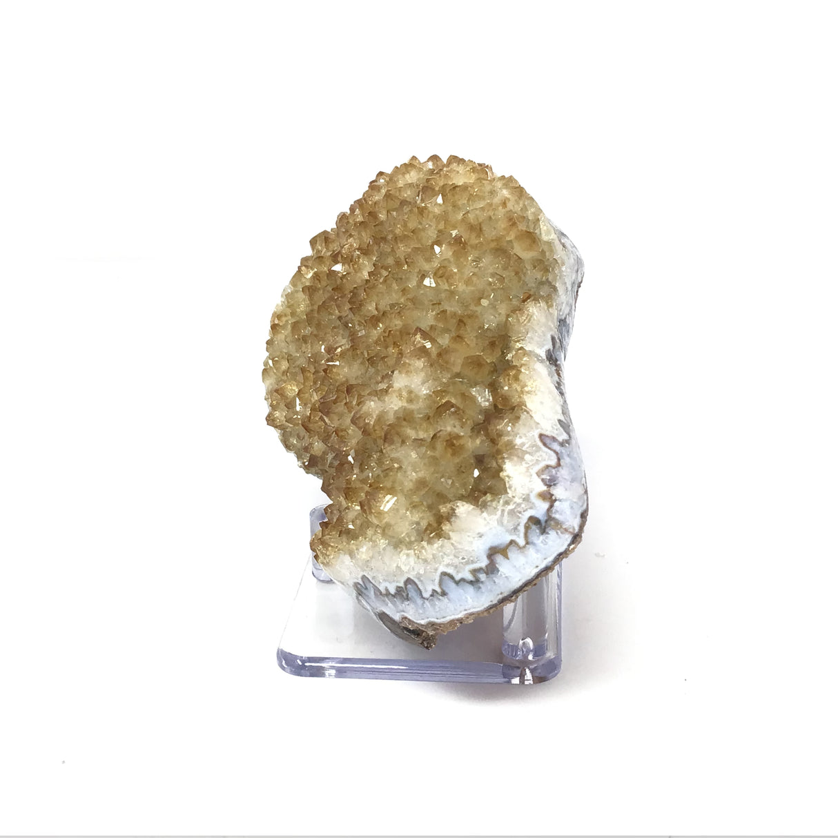 Citrine Druze Specimen with Exquisite Band Along Edge on Lucite Stand