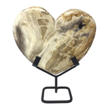 Indonesian Petrified Wood Heart in Fitted Stand - Large