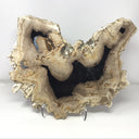 Indonesian Petrified Wood Slice with Blacks & Tan Tones on Lucite Easel Stand