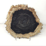 Indonesian Petrified Wood Slice with Blacks & Tan Tones on Lucite Easel Stand