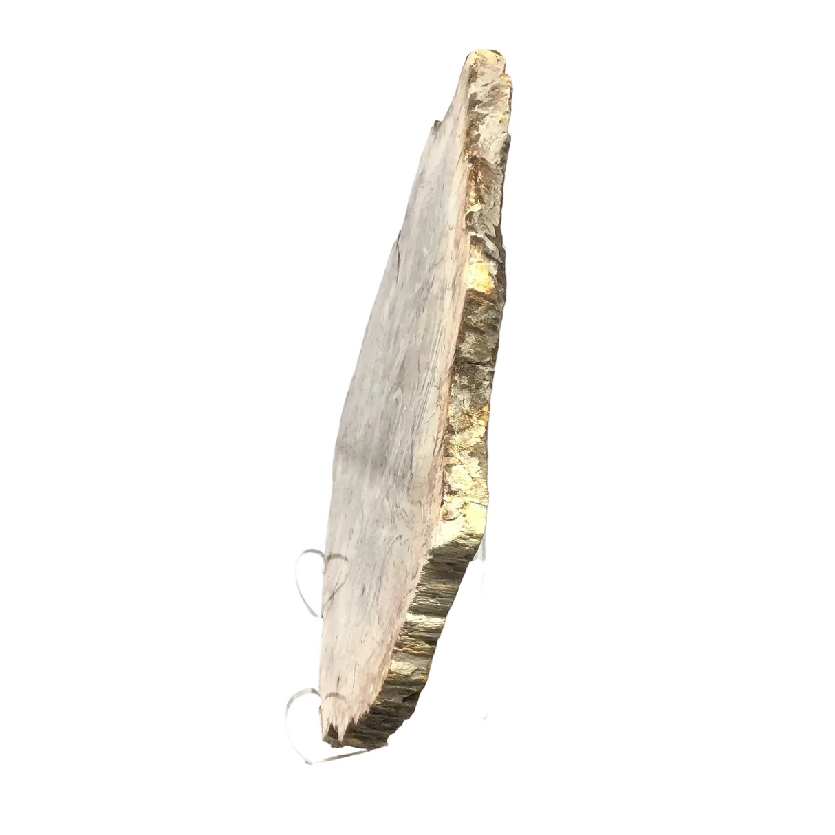 Indonesian Petrified Wood Slice with Sepia Tones on Lucite Stand