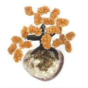 Overhead view of golden citrine gemstone tree with clustered chip foliage on a crystal-lined geode base