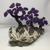 Amethyst Gemstone Triple Tree with Clay Polymer on Anhydrite Base