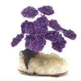 Amethyst Gemstone Tree with Clay Polymer on Citrine Geode Base