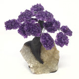 Amethyst Gemstone Tree with Clay Polymer on Citrine Geode Base