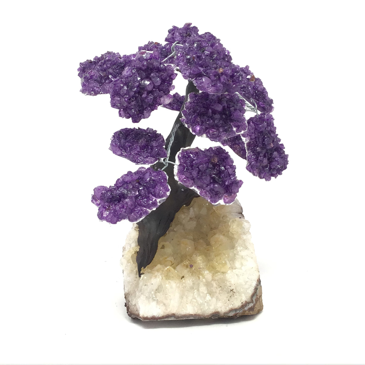 Amethyst Gemstone Tree with Clay Polymer on Citrine Geode Base