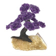 Front view of amethyst gemstone tree on a golden citrine druze geode base with clay polymer trunk