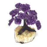 Amethyst Gemstone Tree with Clay Polymer on Citrine Geode Base