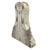 Saddle Mountain Cypress Petrified Wood Bookends - Tapered Top