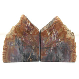 Arizona Conifer Petrified Wood Bookends with Great Bark Preservation