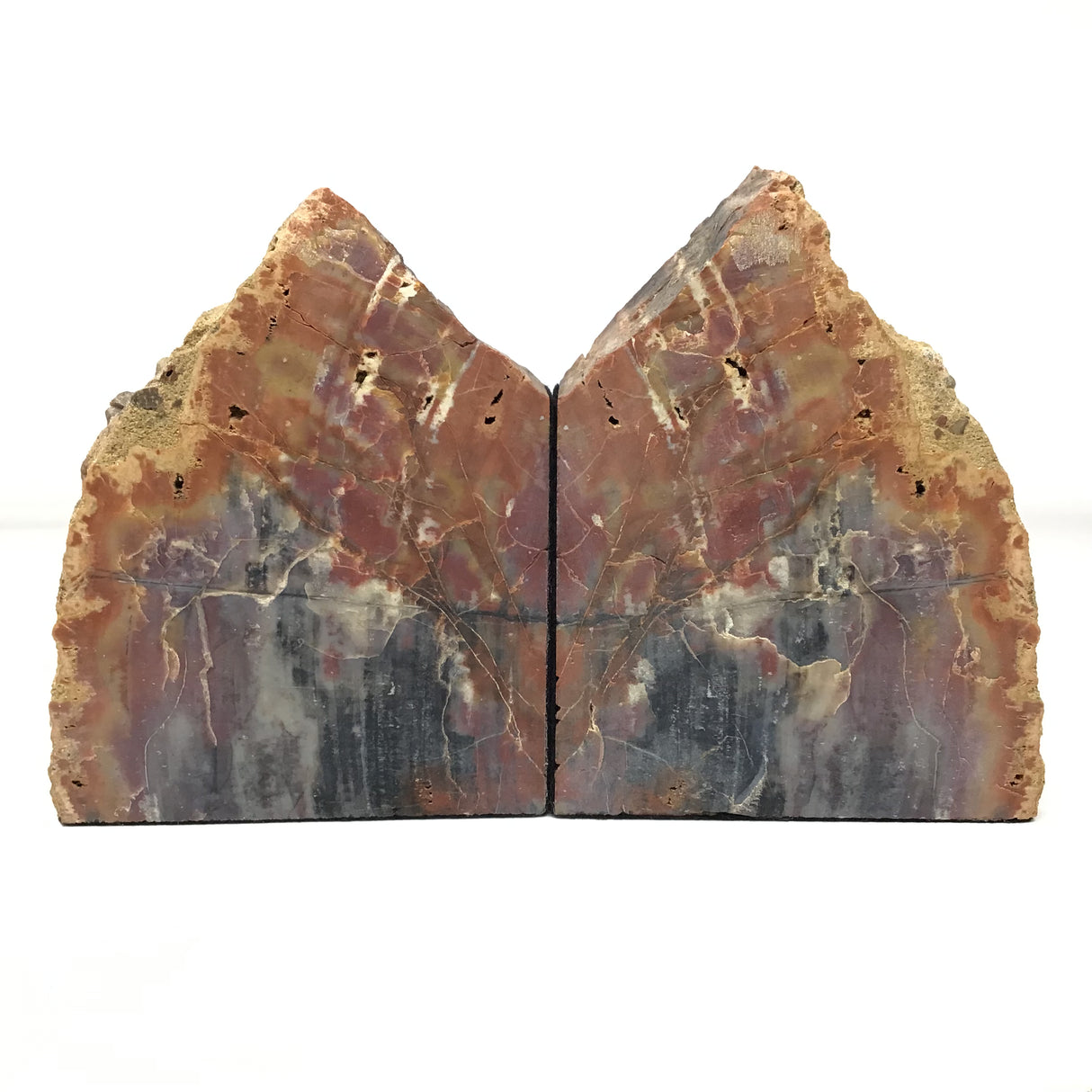 Arizona Conifer Petrified Wood Bookends with Great Bark Preservation
