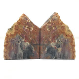 Arizona Conifer Petrified Wood Bookends with Great Bark Preservation
