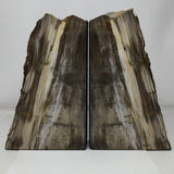 Saddle Mountain Sequoia Petrified Wood Bookends - Browns