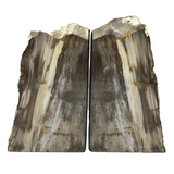Saddle Mountain Sequoia Petrified Wood Bookends - Browns