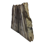 Saddle Mountain Sequoia Petrified Wood Bookends - Browns