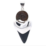 Elegant Design Fossil Pendant - Duct - Ammonite Half & Megalodon Shark Tooth