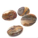 Hand-Polished Palm Stone - Small