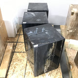 Cube de bois pétrifié indonésien entièrement poli