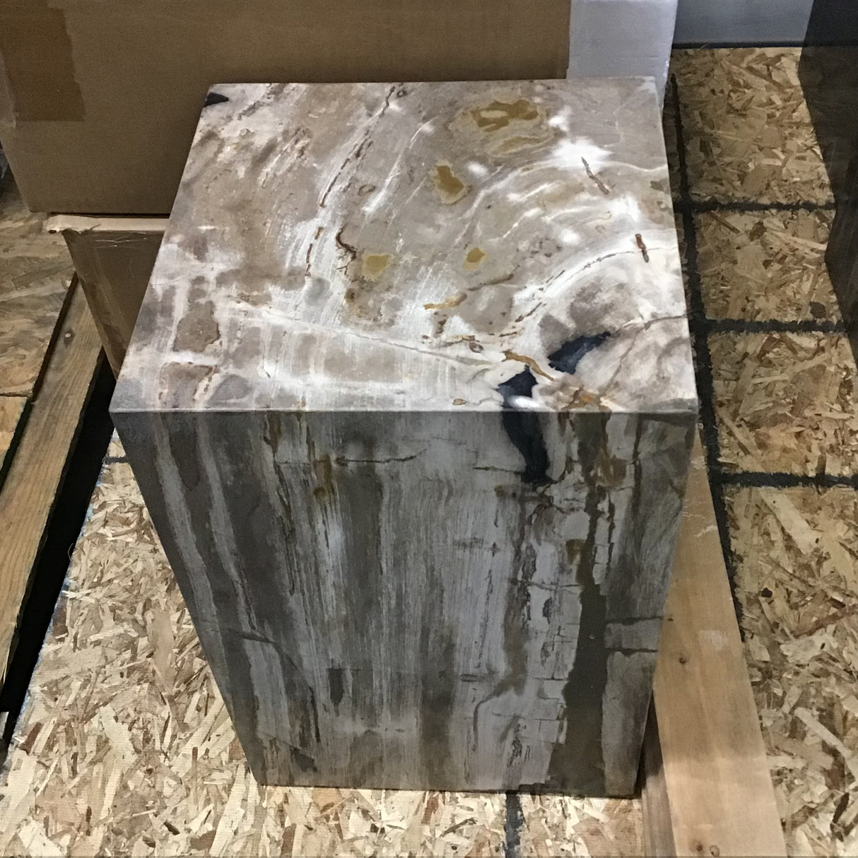 Cube de bois pétrifié indonésien entièrement poli