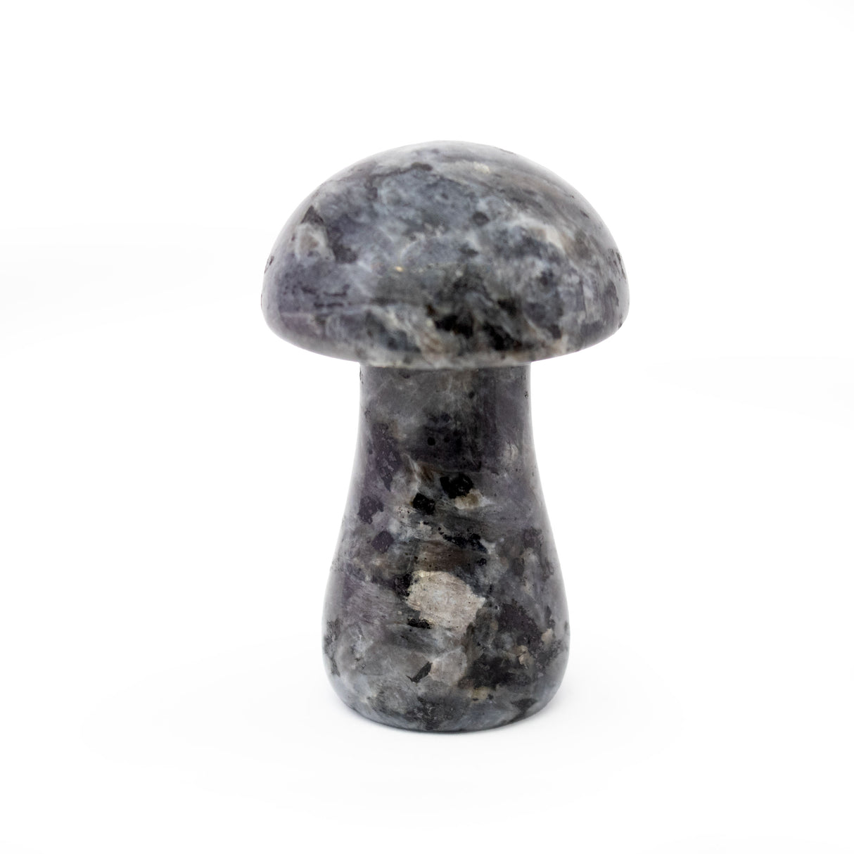 Larvikite Mushroom Carving
