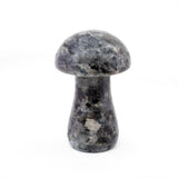 Larvikite Mushroom Carving