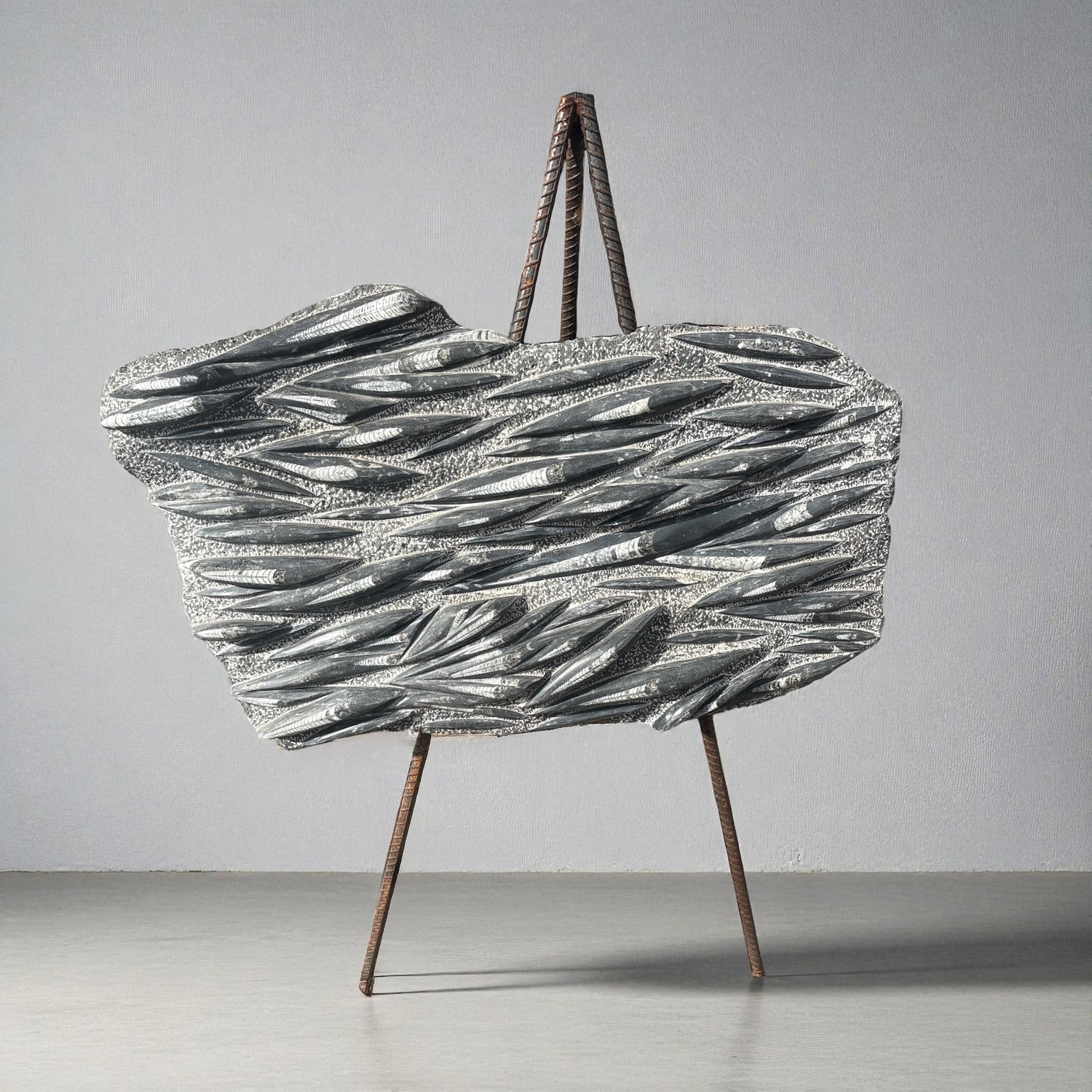 Orthoceras Plaque With Rebarb Easel -XL