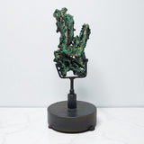 Azurite Malachite Druze Slice On Custom Spinning Stand - Ears Shape with Fiberous Malacite & Azurite Crystals on Side