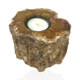 Madagascar Petrified Wood Stump Candle Holder - Single Glass Tealight with Contour Polish